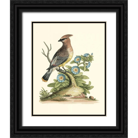 Poised in Nature III Black Ornate Wood Framed Art Print with Double Matting by Edwards, George