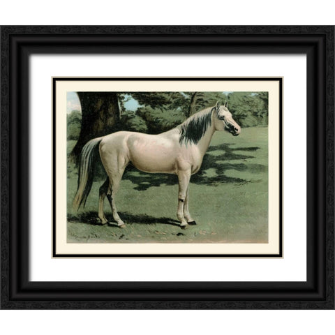 Cassells Horse I Black Ornate Wood Framed Art Print with Double Matting by Cassel