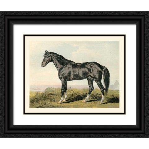 Cassells Horse II Black Ornate Wood Framed Art Print with Double Matting by Cassel