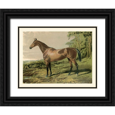 Cassells Horse IV Black Ornate Wood Framed Art Print with Double Matting by Cassel