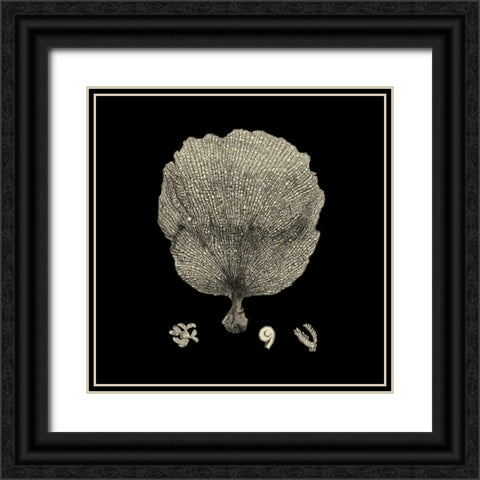 Black and Tan Coral II Black Ornate Wood Framed Art Print with Double Matting by Vision Studio