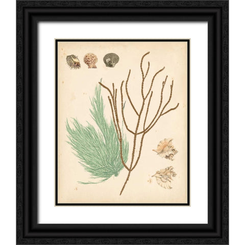 Coastal Relic I Black Ornate Wood Framed Art Print with Double Matting by Vision Studio