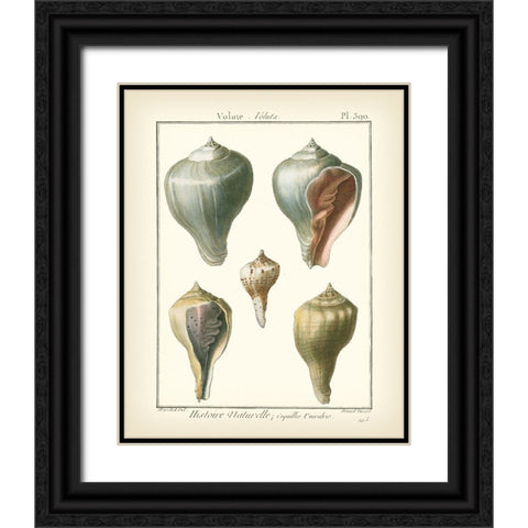 Volute Shells  Pl.390 Black Ornate Wood Framed Art Print with Double Matting by Diderot, Denis