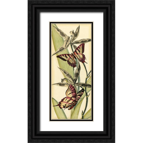 Butterfly Beauty I Black Ornate Wood Framed Art Print with Double Matting by Vision Studio