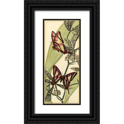 Butterfly Beauty II Black Ornate Wood Framed Art Print with Double Matting by Vision Studio