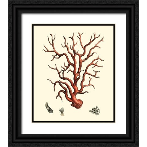 Red Coral I Black Ornate Wood Framed Art Print with Double Matting by Vision Studio
