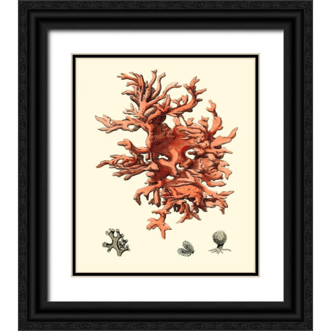 Red Coral III Black Ornate Wood Framed Art Print with Double Matting by Vision Studio