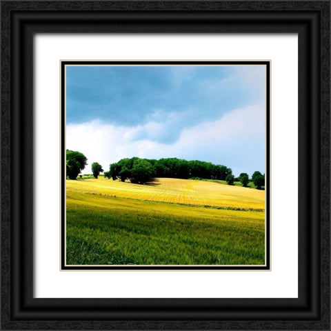 Larrissingle I Black Ornate Wood Framed Art Print with Double Matting by Chester, Colby