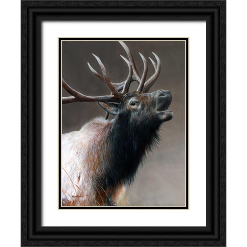 American Icon - Elk Black Ornate Wood Framed Art Print with Double Matting by Daniel, Kevin