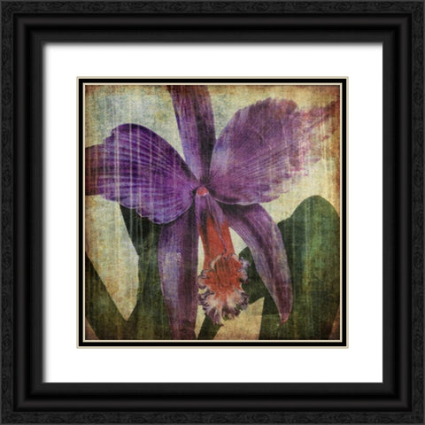 Pacific Orchid II Black Ornate Wood Framed Art Print with Double Matting by Butler, John