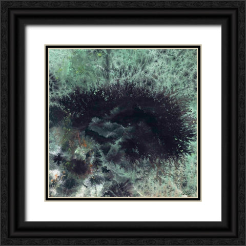 Coral and Jelly Fish I Black Ornate Wood Framed Art Print with Double Matting by Roll, Dlynn