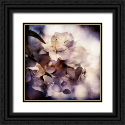 Purple Dusk I Black Ornate Wood Framed Art Print with Double Matting by Robinson, Emily