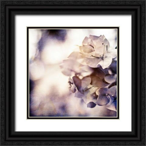 Purple Dusk II Black Ornate Wood Framed Art Print with Double Matting by Robinson, Emily