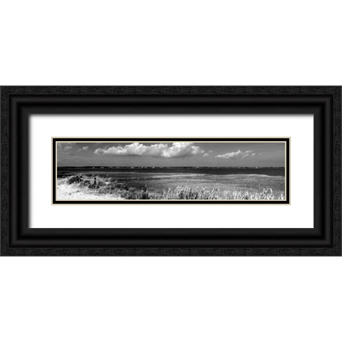 Shore Panorama VII Black Ornate Wood Framed Art Print with Double Matting by Pica, Jeff