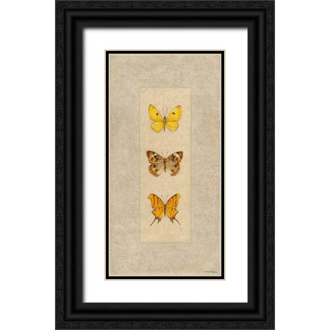 Butterfly Trio I Black Ornate Wood Framed Art Print with Double Matting by Russell, Wendy