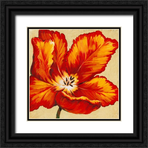 Parrot Tulip I Black Ornate Wood Framed Art Print with Double Matting by OToole, Tim