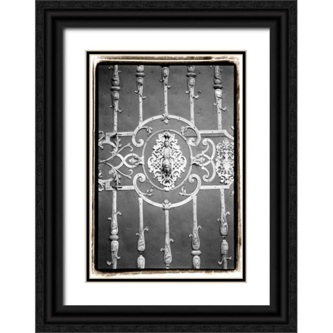 Distinguished Doors II Black Ornate Wood Framed Art Print with Double Matting by DeNardo, Laura