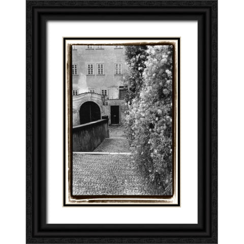 Passing through Prague II Black Ornate Wood Framed Art Print with Double Matting by DeNardo, Laura
