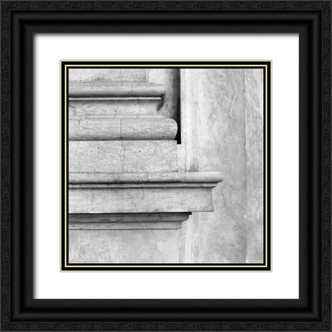 Enduring Composition I Black Ornate Wood Framed Art Print with Double Matting by DeNardo, Laura