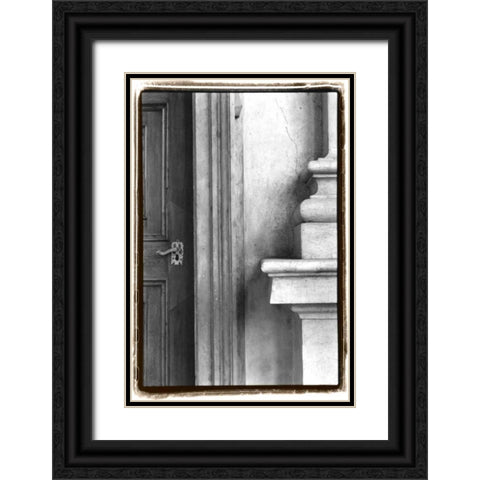 Enduring Qualities II Black Ornate Wood Framed Art Print with Double Matting by DeNardo, Laura