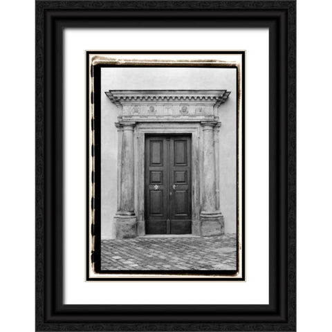 Enduring Qualities III Black Ornate Wood Framed Art Print with Double Matting by DeNardo, Laura