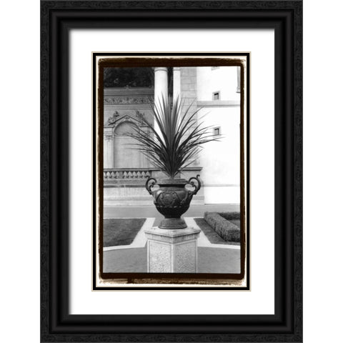 Royal Urn I Black Ornate Wood Framed Art Print with Double Matting by DeNardo, Laura