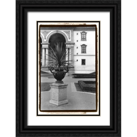 Royal Urn II Black Ornate Wood Framed Art Print with Double Matting by DeNardo, Laura