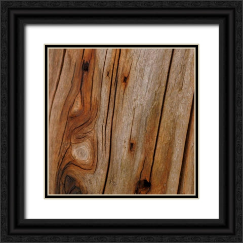 Natures Textures IX Black Ornate Wood Framed Art Print with Double Matting by Vision Studio