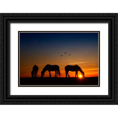 Fly Over Black Ornate Wood Framed Art Print with Double Matting by PHBurchett