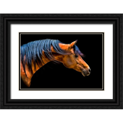 Wind Swept Black Ornate Wood Framed Art Print with Double Matting by PHBurchett