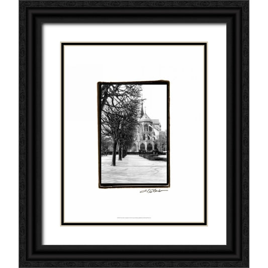 Perspective Image