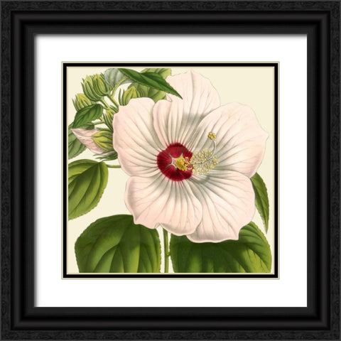 Tropical Vision I Black Ornate Wood Framed Art Print with Double Matting by Vision Studio