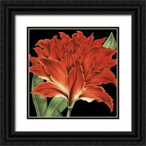 Dramatic Tropical Vision V Black Ornate Wood Framed Art Print with Double Matting by Vision Studio