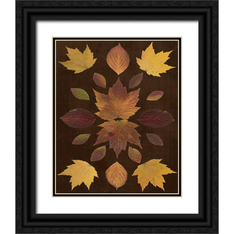 Kaleidoscope Leaves VI Black Ornate Wood Framed Art Print with Double Matting by Vision Studio