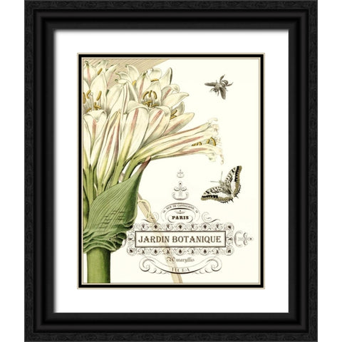 Jardin Botanique II Black Ornate Wood Framed Art Print with Double Matting by Vision Studio