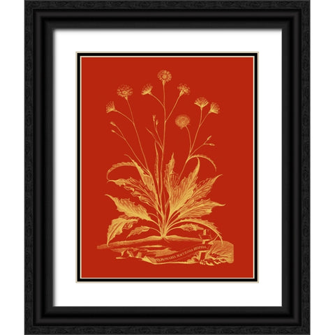 Paprika Bouquet III Black Ornate Wood Framed Art Print with Double Matting by Vision Studio