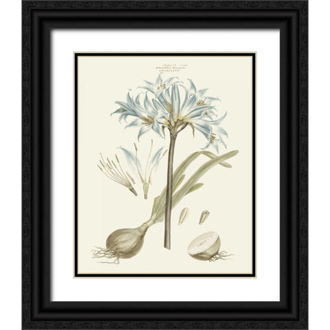Bashful Blue Florals II Black Ornate Wood Framed Art Print with Double Matting by Miller, John