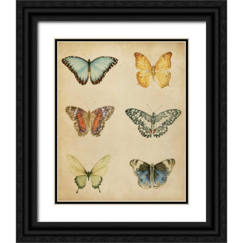 Butterfly Varietal I Black Ornate Wood Framed Art Print with Double Matting by Meagher, Megan