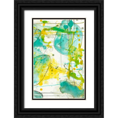 Splish Splash II Black Ornate Wood Framed Art Print with Double Matting by Goldberger, Jennifer