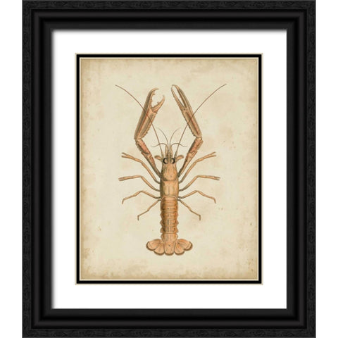 Crustaceans I Black Ornate Wood Framed Art Print with Double Matting by Sowerby, James