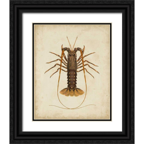 Crustaceans II Black Ornate Wood Framed Art Print with Double Matting by Sowerby, James
