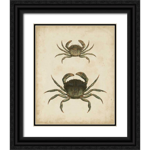 Crustaceans IV Black Ornate Wood Framed Art Print with Double Matting by Sowerby, James