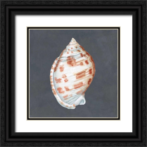 Shell on Slate I Black Ornate Wood Framed Art Print with Double Matting by Meagher, Megan
