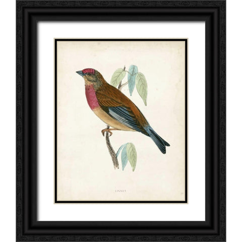Morris Linnet Black Ornate Wood Framed Art Print with Double Matting by Morris