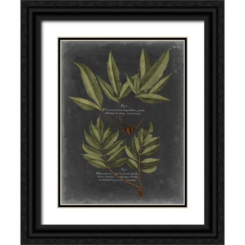Foliage Dramatique IV Black Ornate Wood Framed Art Print with Double Matting by Vision Studio