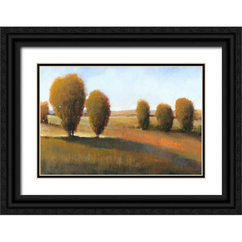 Afternoon Light I Black Ornate Wood Framed Art Print with Double Matting by OToole, Tim
