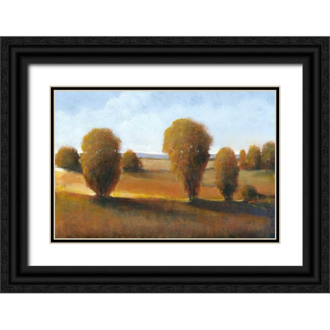 Afternoon Light II Black Ornate Wood Framed Art Print with Double Matting by OToole, Tim