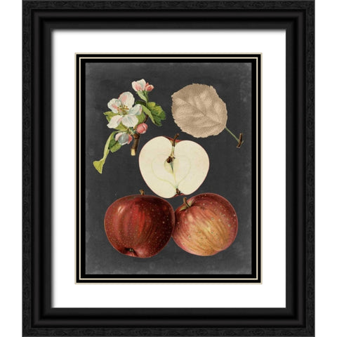 Midnight Harvest I Black Ornate Wood Framed Art Print with Double Matting by Vision Studio