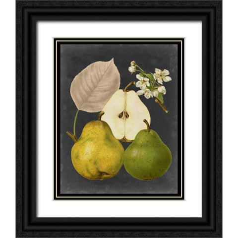 Midnight Harvest III Black Ornate Wood Framed Art Print with Double Matting by Vision Studio