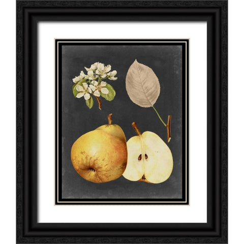 Midnight Harvest IV Black Ornate Wood Framed Art Print with Double Matting by Vision Studio